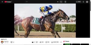 경마는 하나의 문명이고 철학이다